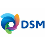 DSM